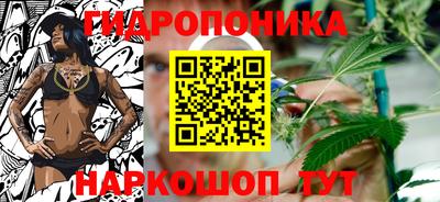 индика Кулебаки