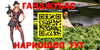 индика Кулебаки