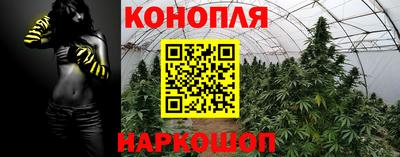 индика Кулебаки