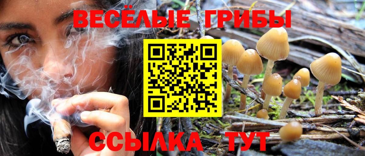 Галлюциногенные грибы прущие грибы  Вход с VPN  Зеленогорск 